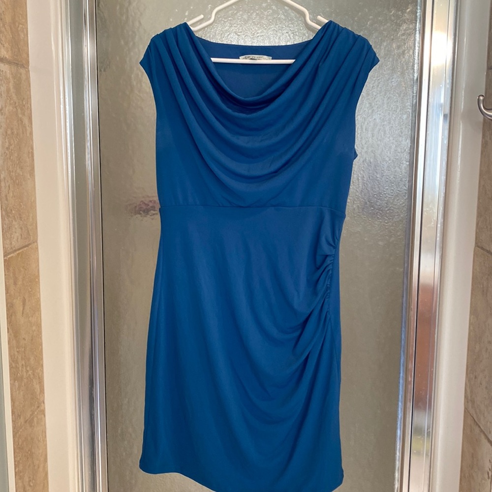 Super cute, simple dress with cowl neck. Worn twice.